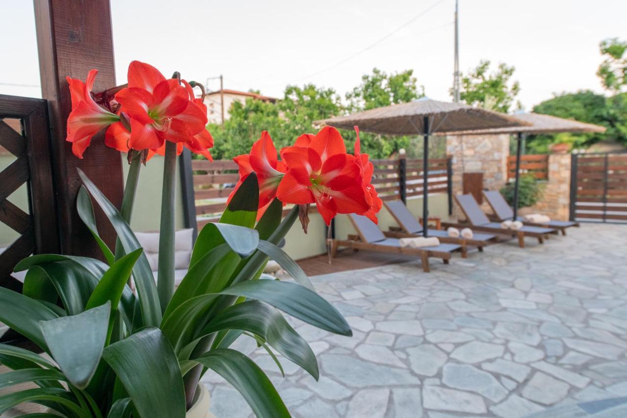 Villa Filyra Kato Gatzea Extérieur photo